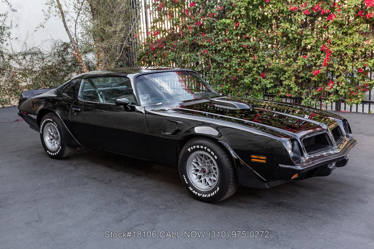 1974 Pontiac Firebird Trans Am thumbnail 3