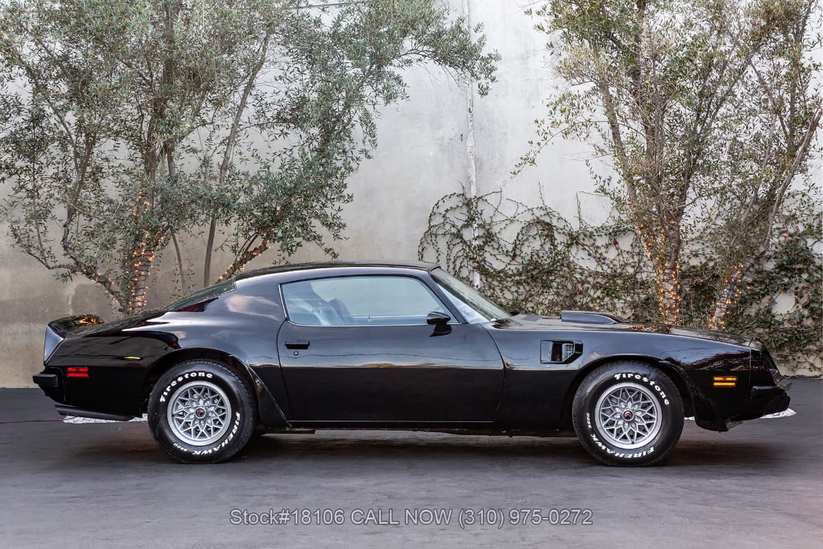 1974 Pontiac Firebird Trans Am thumbnail 4