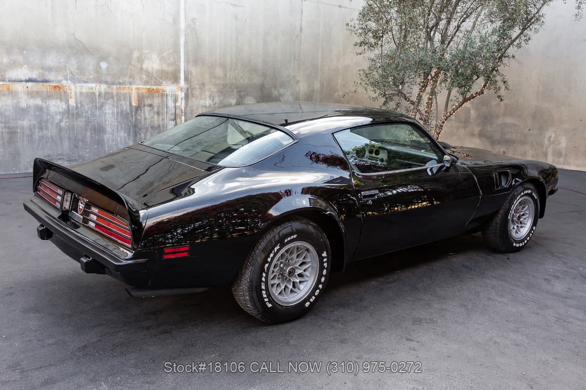 1974 Pontiac Firebird Trans Am thumbnail 5
