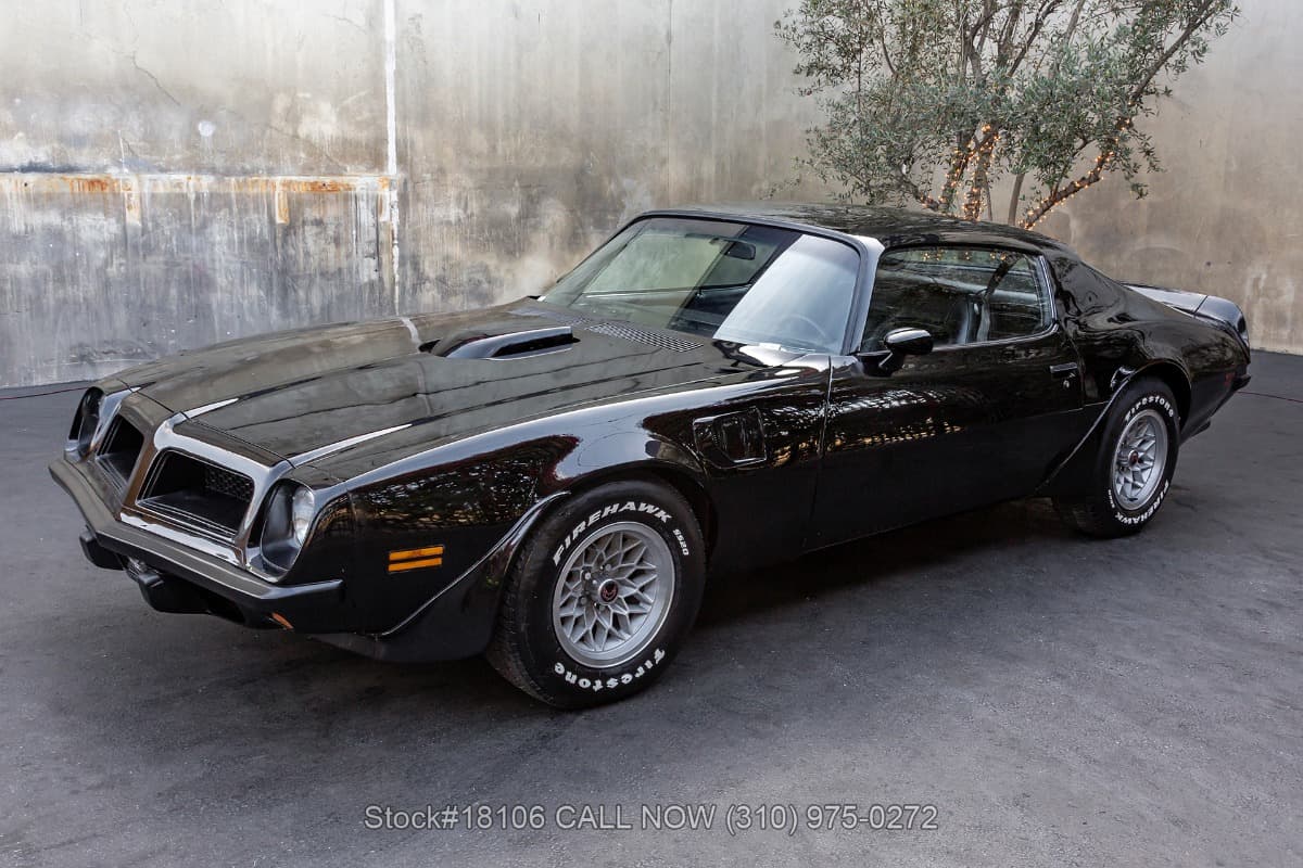 1974 Pontiac Firebird Trans Am thumbnail 7