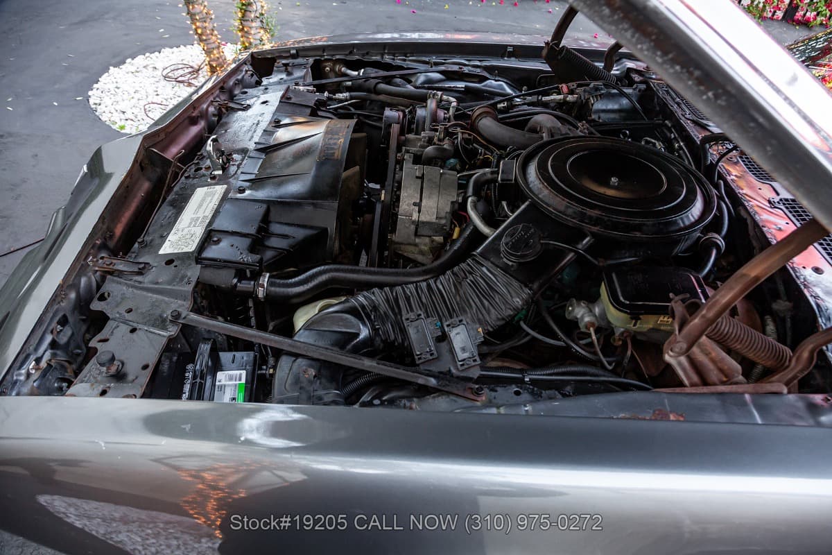 1981 Pontiac Firebird Formula Turbo thumbnail 21