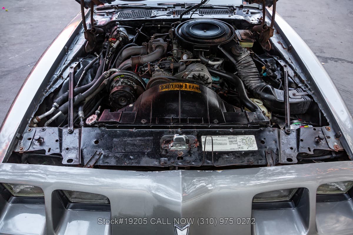 1981 Pontiac Firebird Formula Turbo thumbnail 22