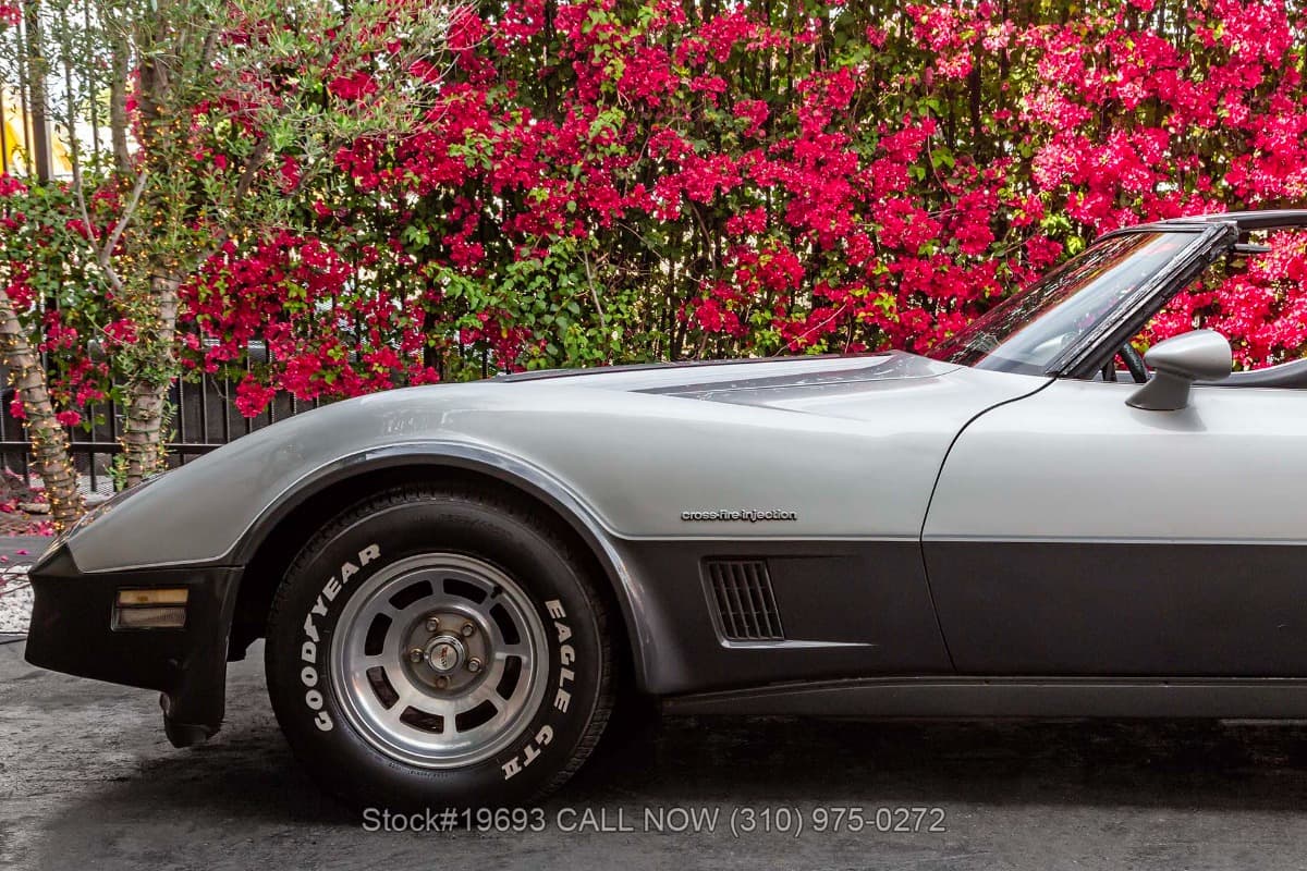 1982 Chevrolet Corvette T-Top thumbnail 13