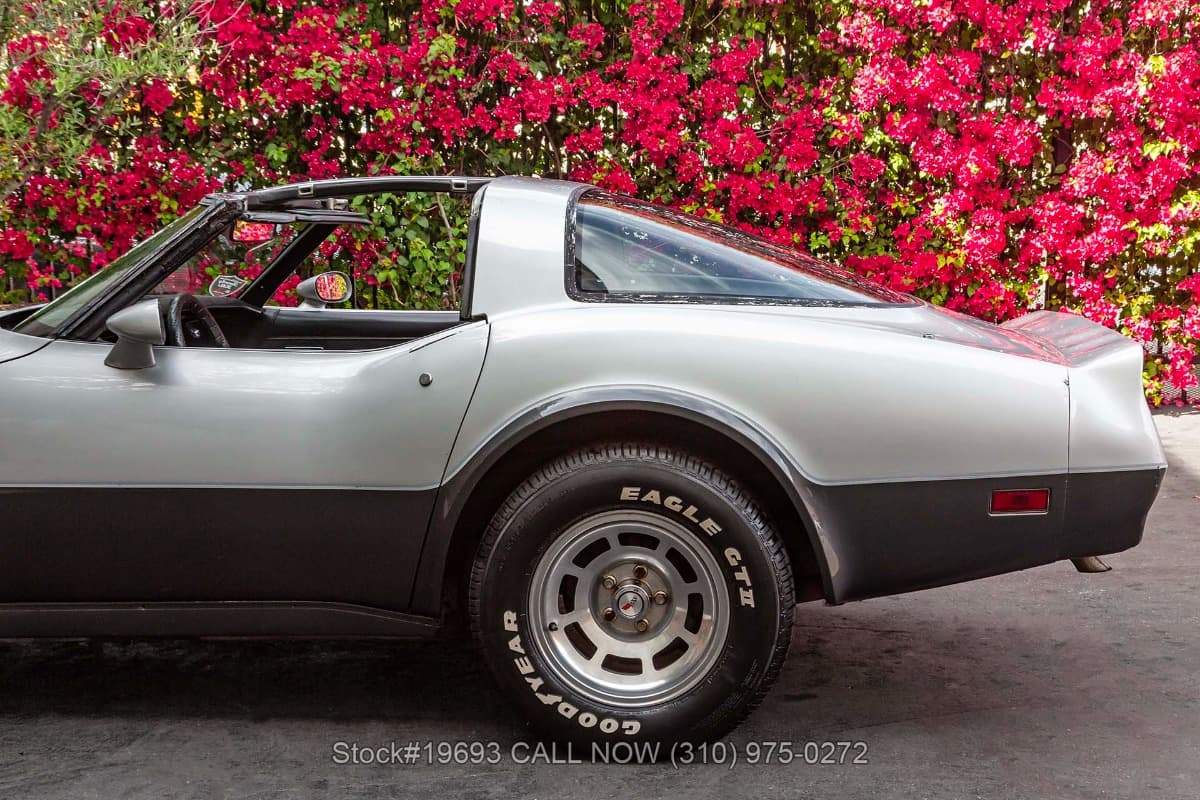 1982 Chevrolet Corvette T-Top thumbnail 14