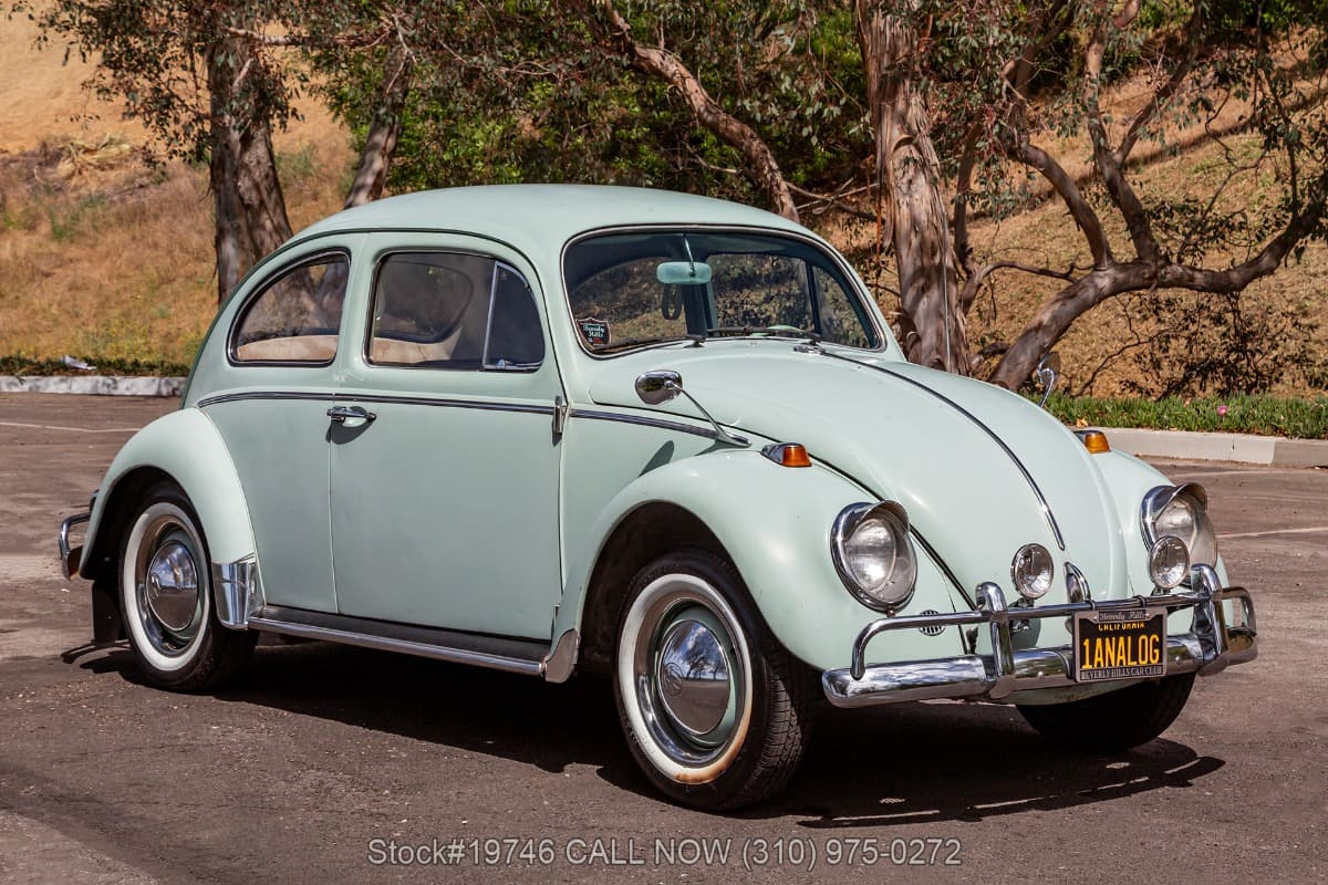 1964 Volkswagen Beetle thumbnail 3