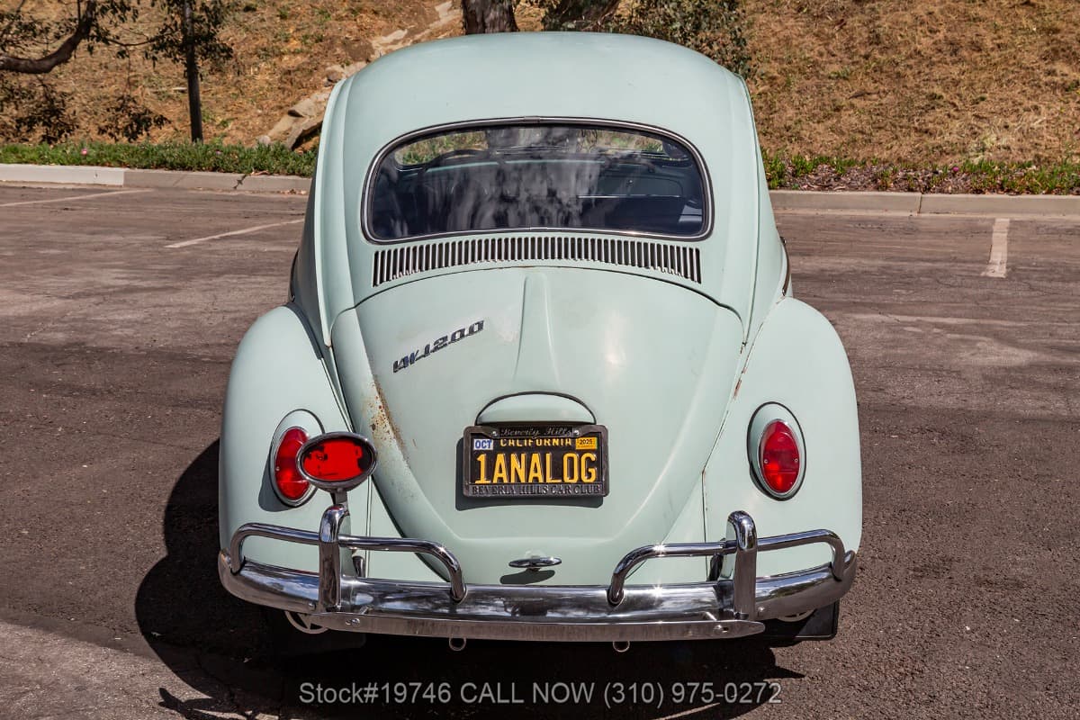 1964 Volkswagen Beetle thumbnail 5