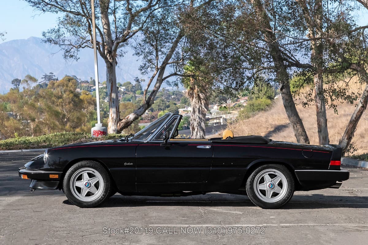 1990 Alfa Romeo Spider Graduate thumbnail 13