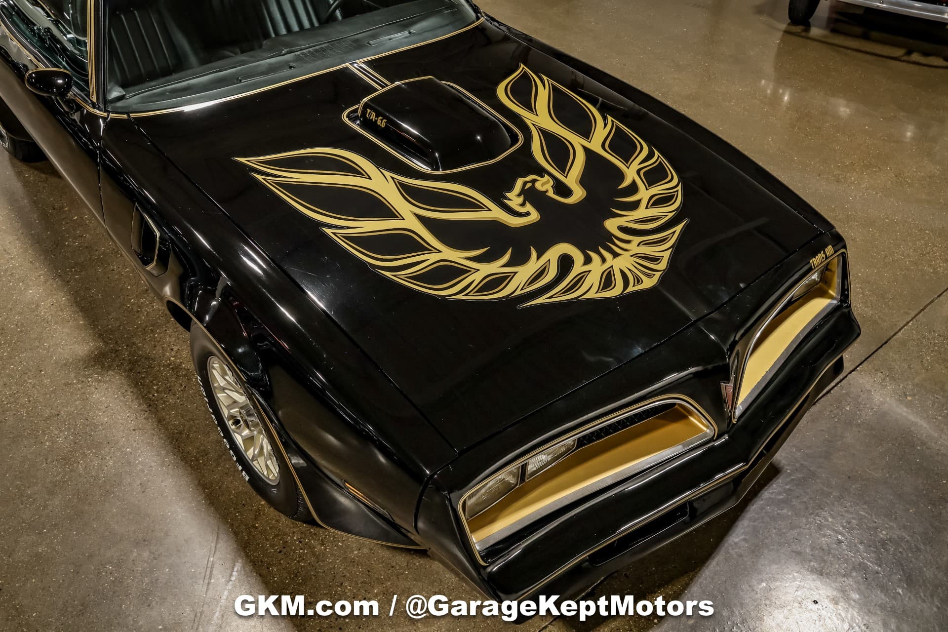 1978 Pontiac Firebird Trans Am thumbnail 3