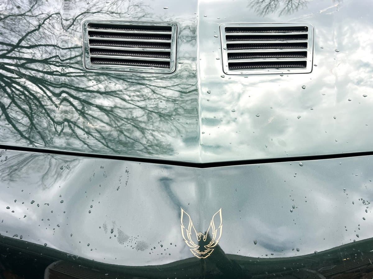 1991 Pontiac Trans Am Convertible thumbnail 8