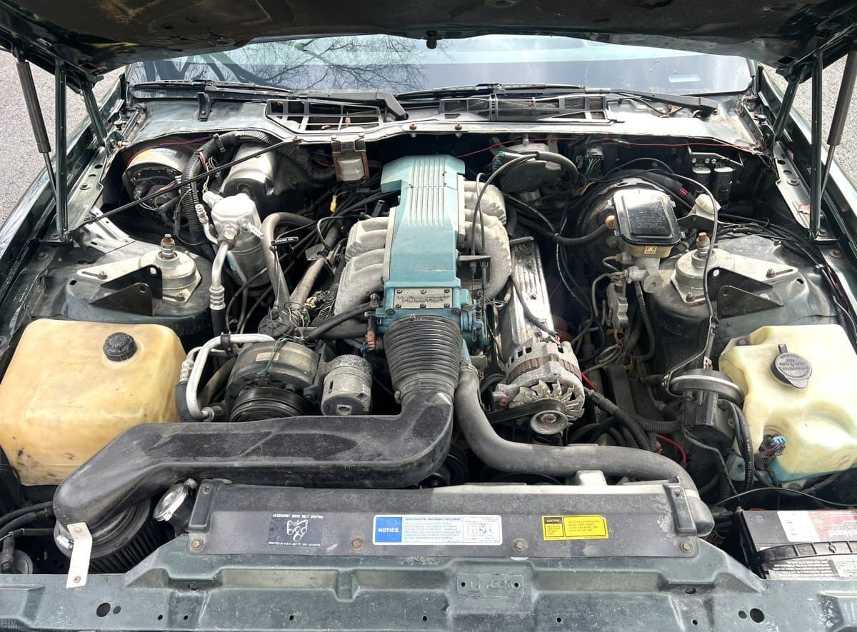 1991 Pontiac Trans Am Convertible thumbnail 15