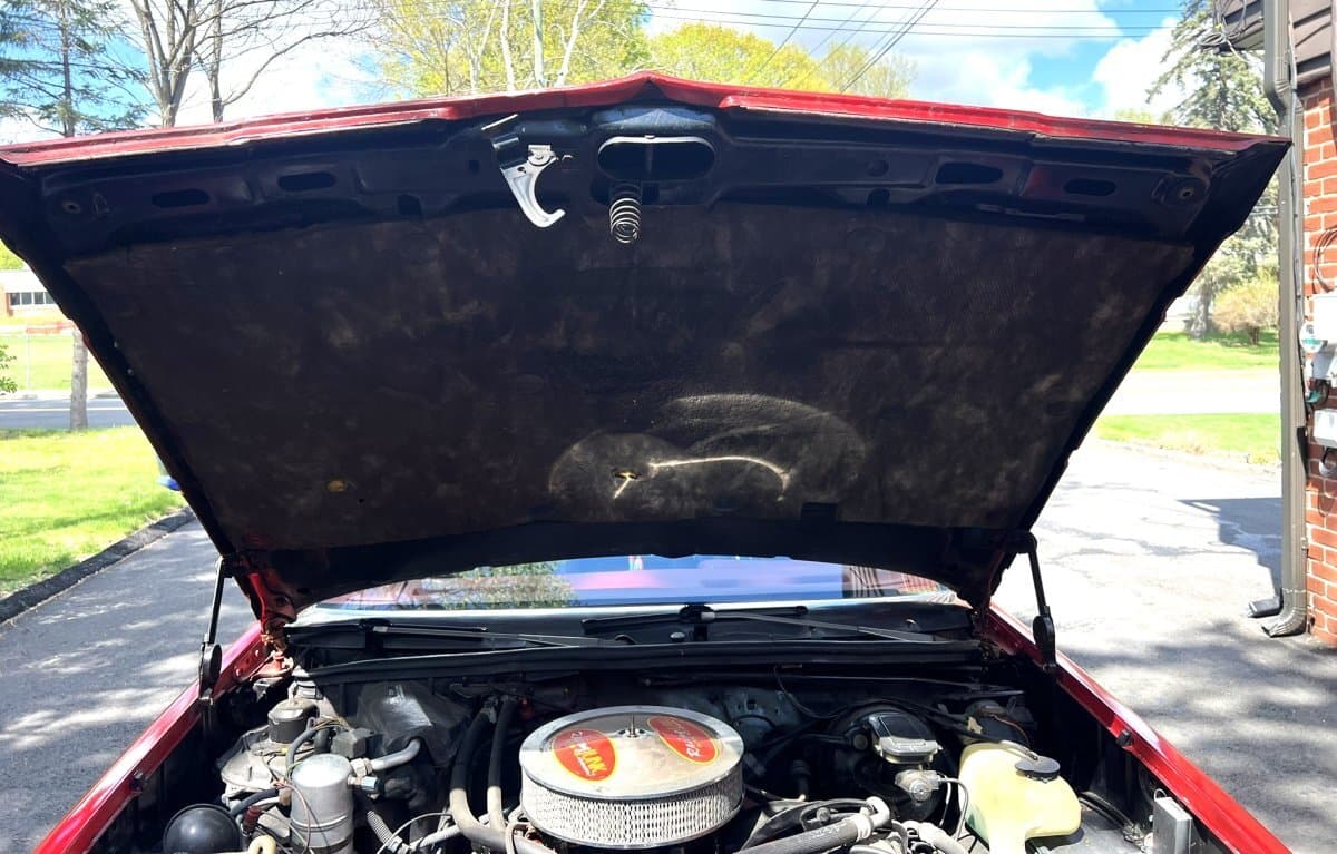 1978 Chevrolet El Camino thumbnail 10