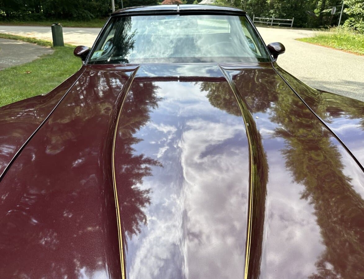 1980 Chevrolet Corvette Coupe thumbnail 11