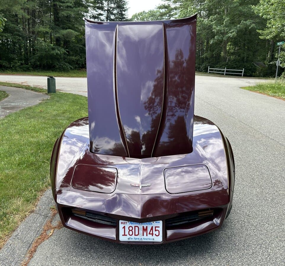 1980 Chevrolet Corvette Coupe thumbnail 12