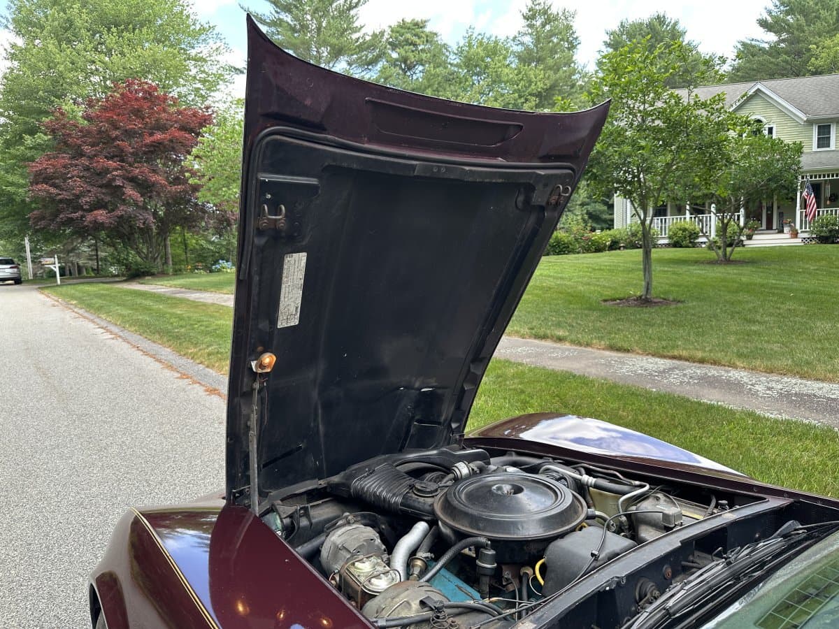 1980 Chevrolet Corvette Coupe thumbnail 16