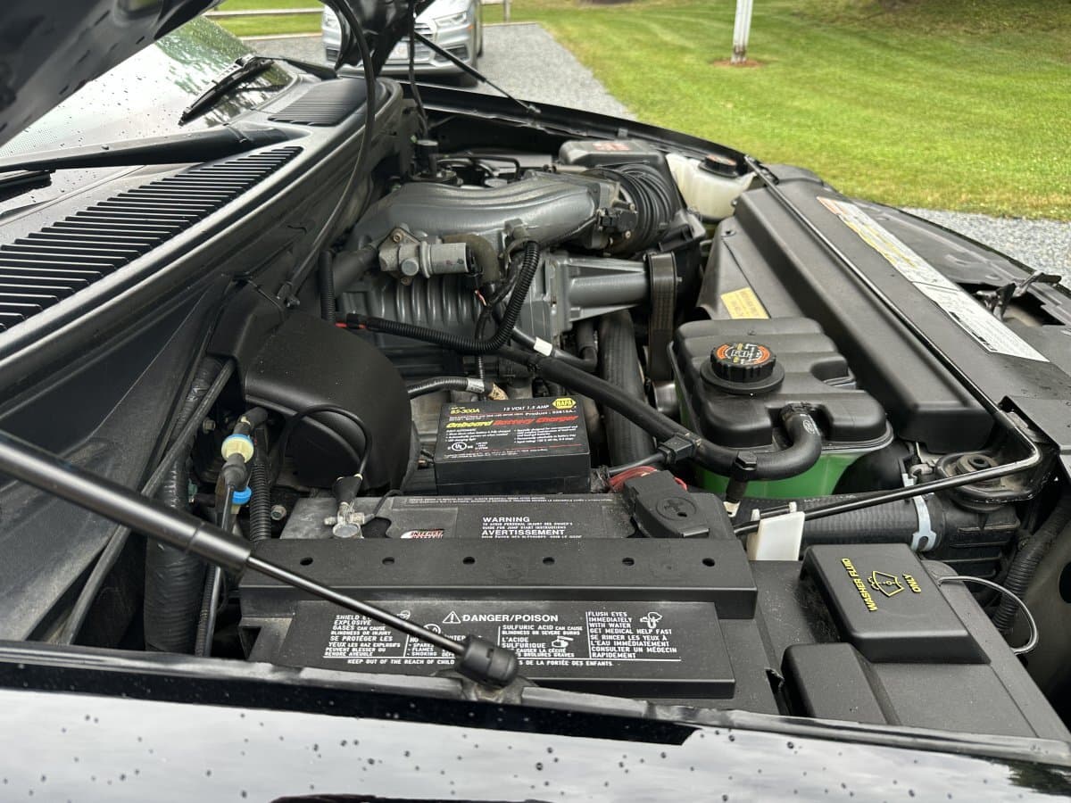 1999 Ford Lightning SVT F-150 Pickup thumbnail 10