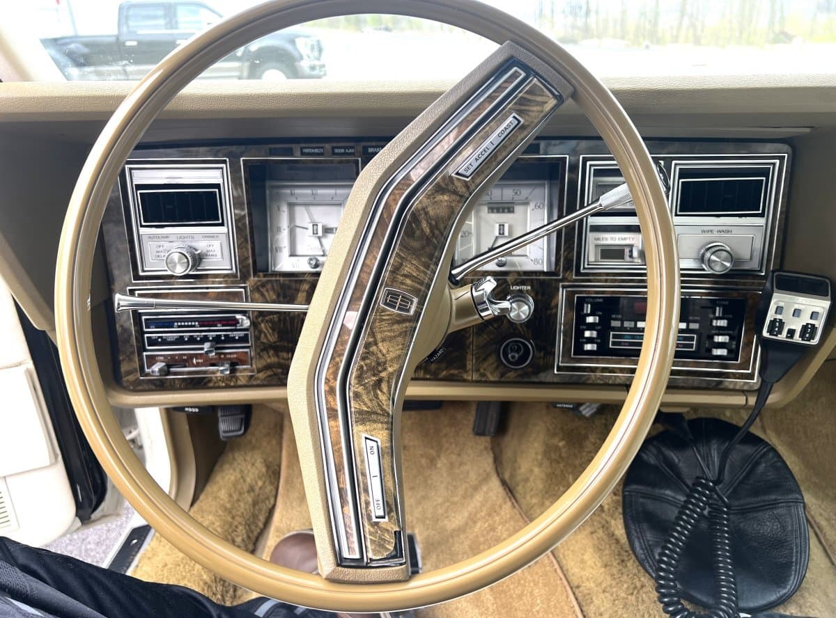 1979 Lincoln Continental Mark V thumbnail 19