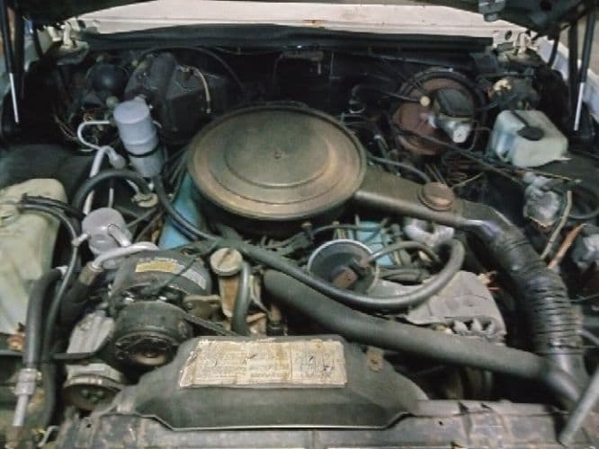 1980 Buick Riviera thumbnail 9