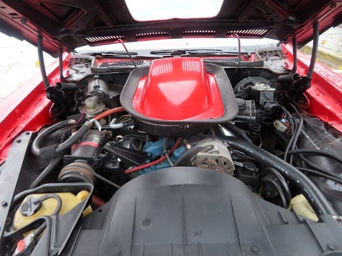 1974 Pontiac Firebird thumbnail 5