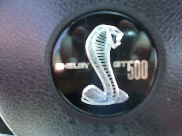2008 Ford Shelby GT500 thumbnail 9