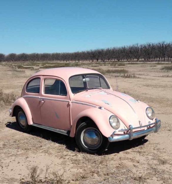 1964 Volkswagen Beetle — photo 1