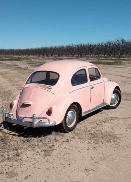 1964 Volkswagen Beetle thumbnail 3