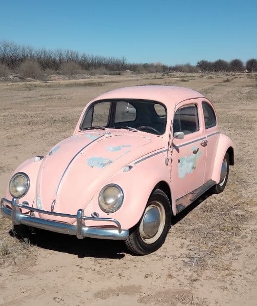 1964 Volkswagen Beetle thumbnail 4
