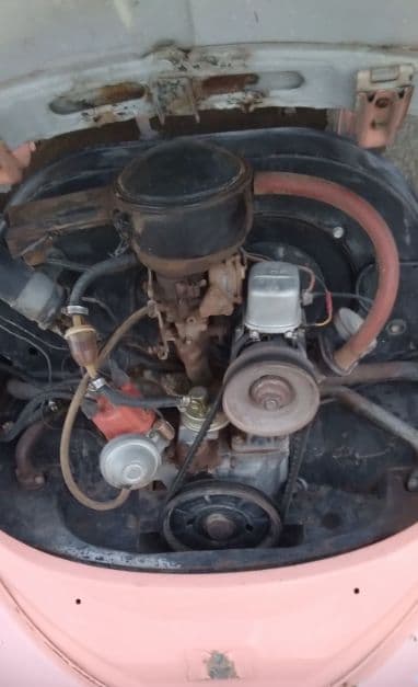 1964 Volkswagen Beetle thumbnail 5