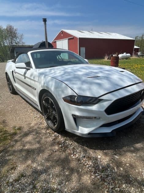 2019 Ford Mustang GT California Special thumbnail 3