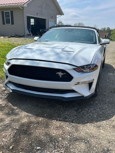 2019 Ford Mustang GT California Special thumbnail 4