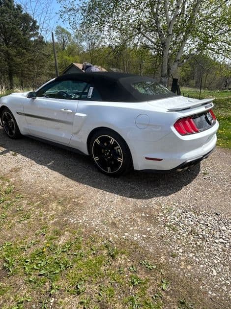 2019 Ford Mustang GT California Special thumbnail 6
