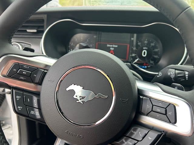 2019 Ford Mustang GT California Special thumbnail 18