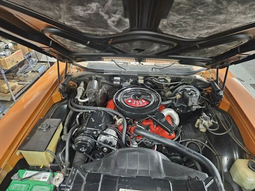 1971 Buick Skylark thumbnail 13