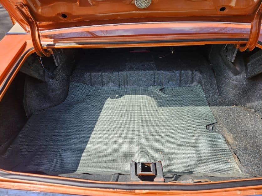 1971 Buick Skylark thumbnail 10