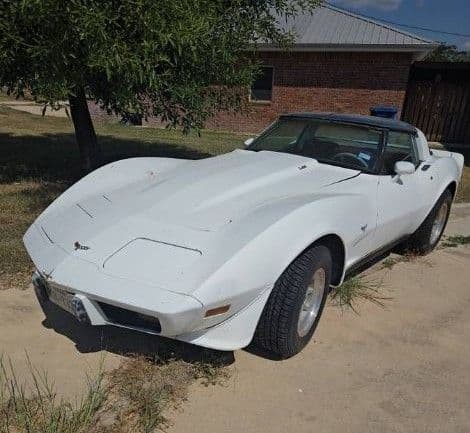 1979 Chevrolet Corvette — photo 1