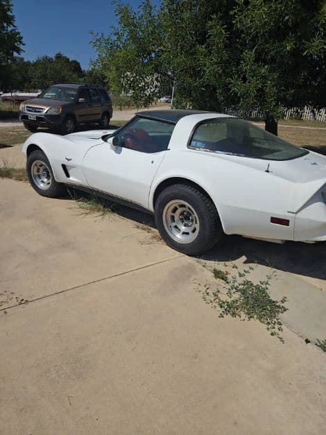 1979 Chevrolet Corvette thumbnail 4