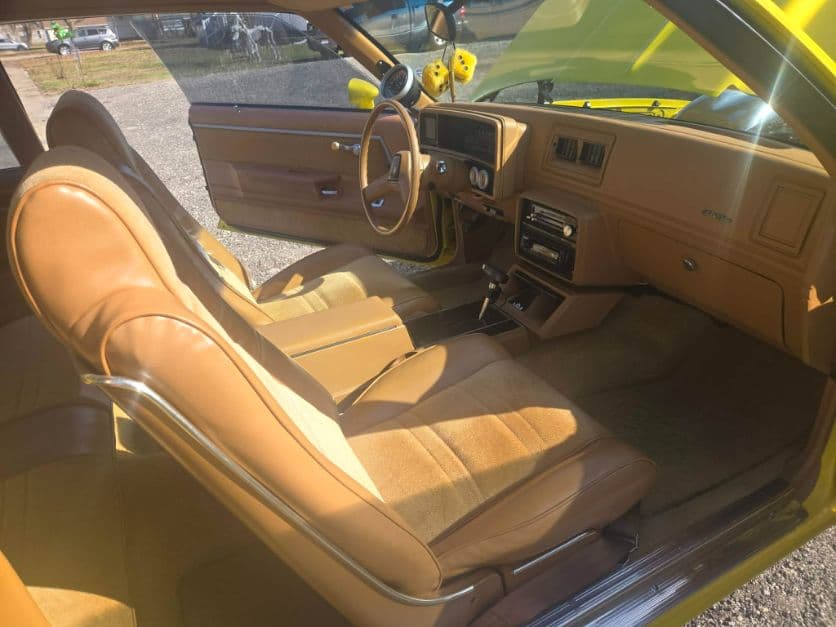1979 Chevrolet Malibu thumbnail 8