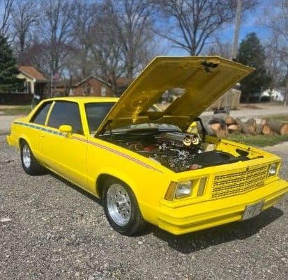 1979 Chevrolet Malibu — photo 1