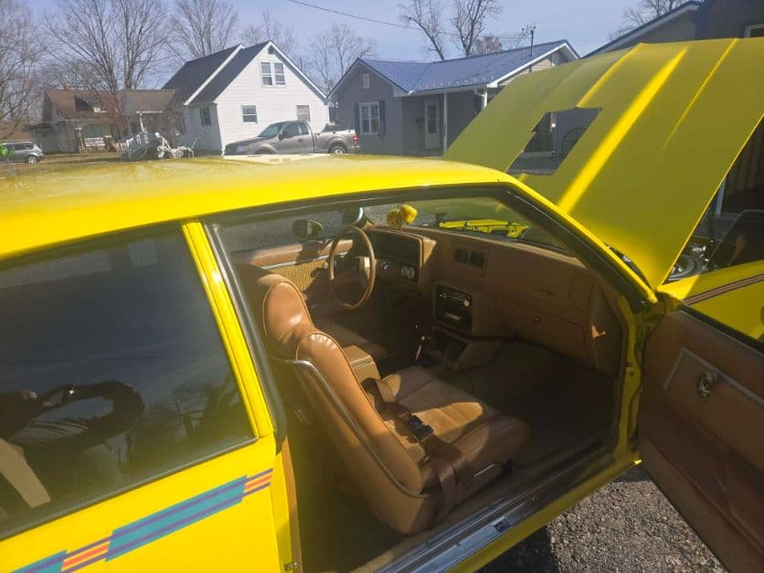 1979 Chevrolet Malibu thumbnail 9