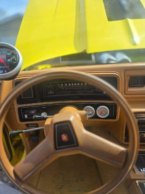 1979 Chevrolet Malibu thumbnail 24