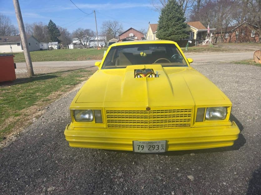 1979 Chevrolet Malibu thumbnail 13
