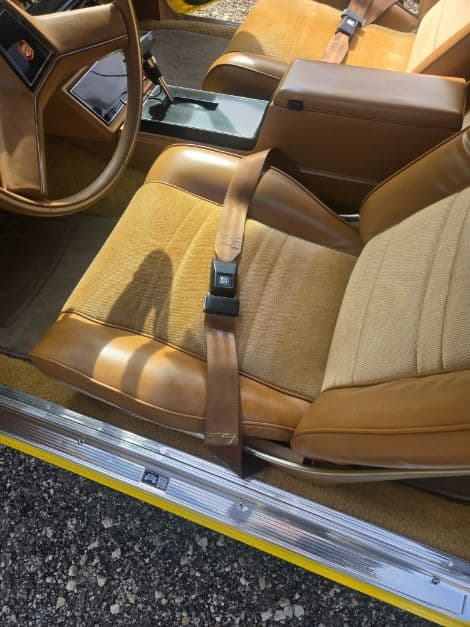 1979 Chevrolet Malibu thumbnail 27