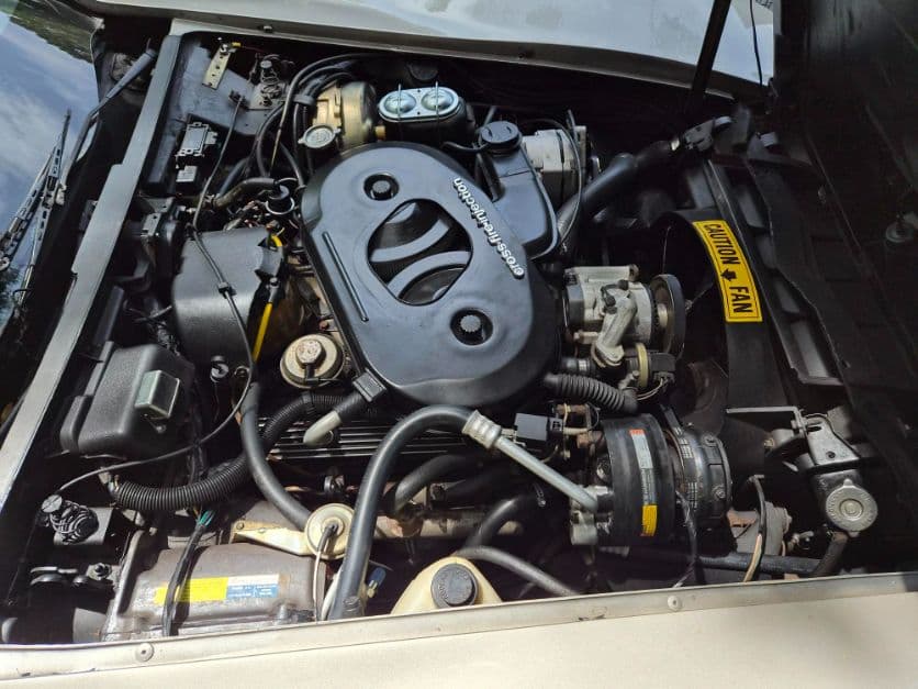 1982 Chevrolet Corvette thumbnail 18