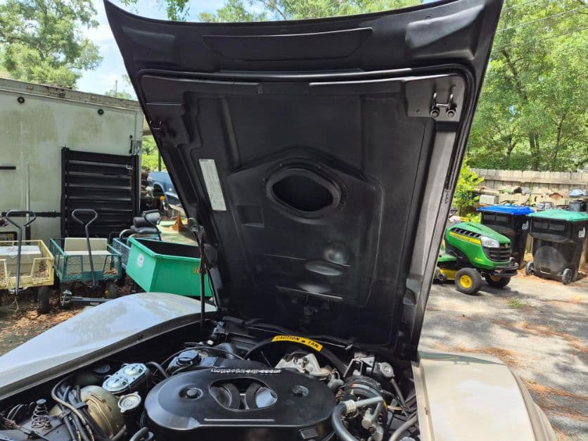1982 Chevrolet Corvette thumbnail 19