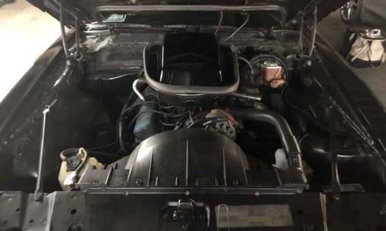1979 Pontiac Firebird Trans Am thumbnail 8