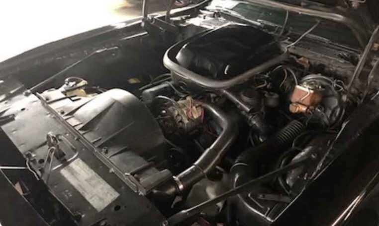 1979 Pontiac Firebird Trans Am thumbnail 9