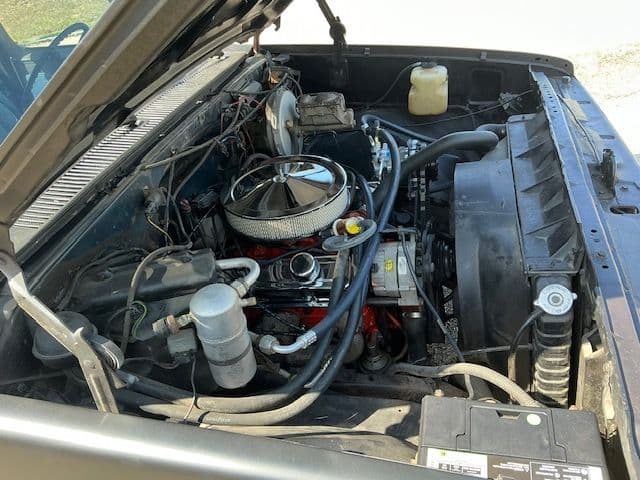 1982 Chevrolet 1/2 Ton Pickup thumbnail 13