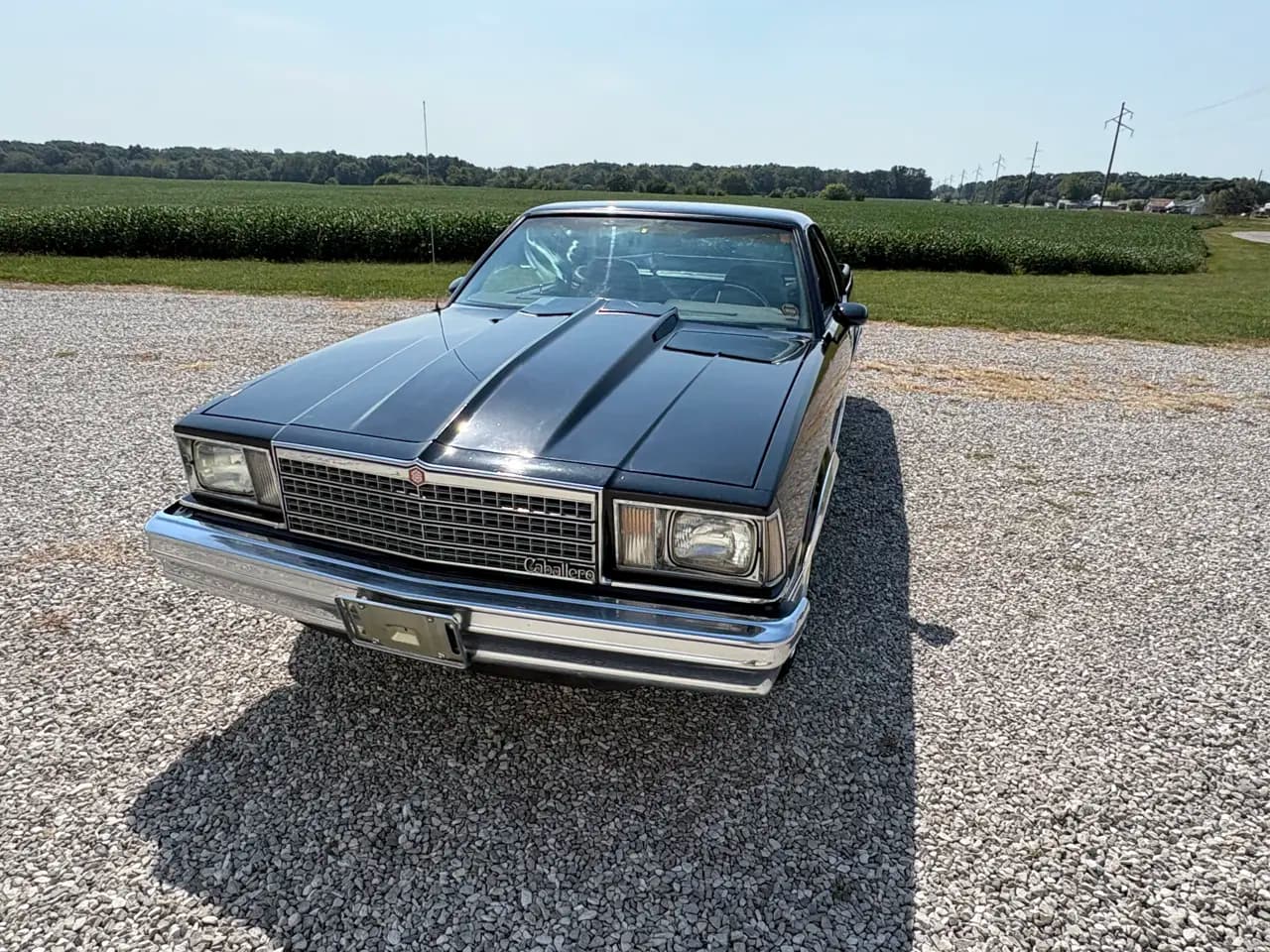 1979 GMC Caballero 2dr Pickup — photo 2