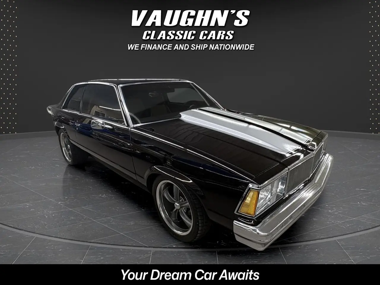 1980 Chevrolet Malibu 2dr Coupe