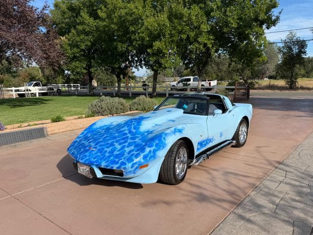 1979 Chevrolet Corvette — photo 1