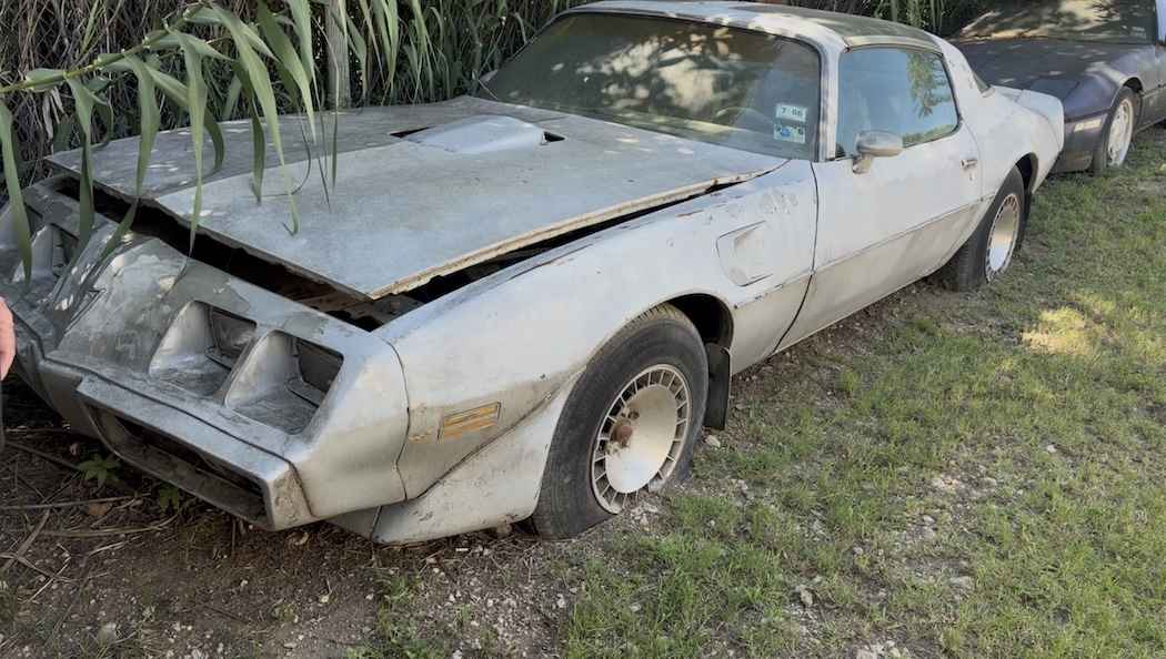 1979 Pontiac Firebird Trans Am 10th Anniversary Edition — photo 1
